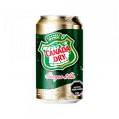 Canada Dry Girger Ale Lata 350cc