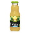 Jugo Andina del Valle Piña 300 ml