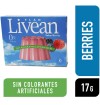 Flan livean sabor berries 17 gr