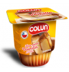 Flan Colun Vainilla 100g