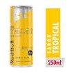 Red Bull Summer 250 Ml